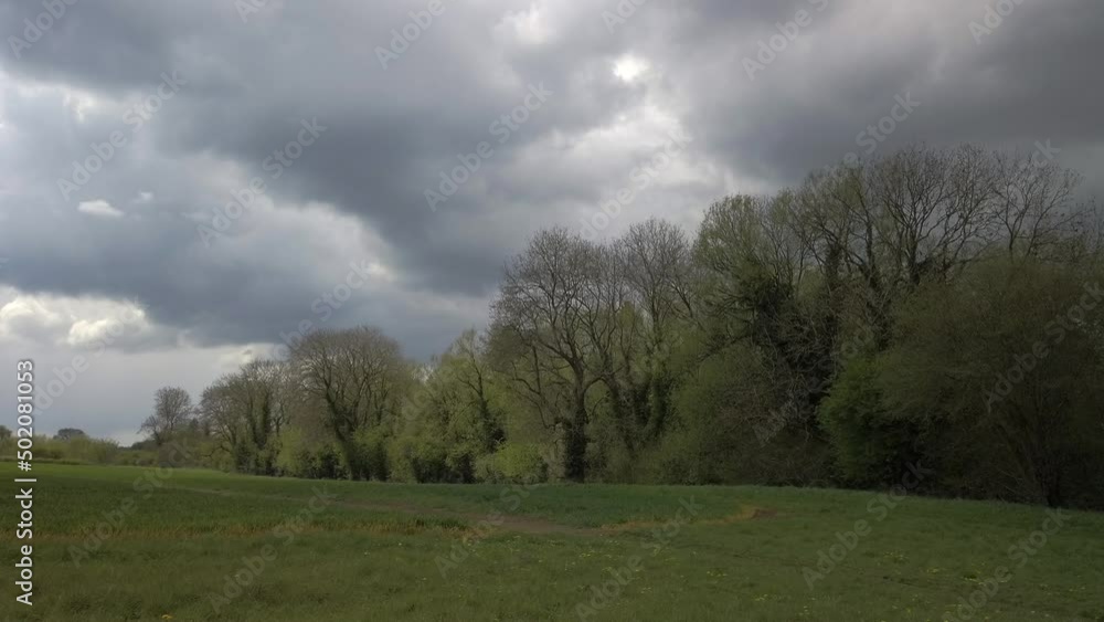 Stormy skies and sunlit trees in Oxfordshire. Static Stormy skies and sunlit trees in Oxfordshire. Static