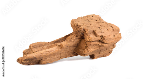 old dry wood isolated on white background