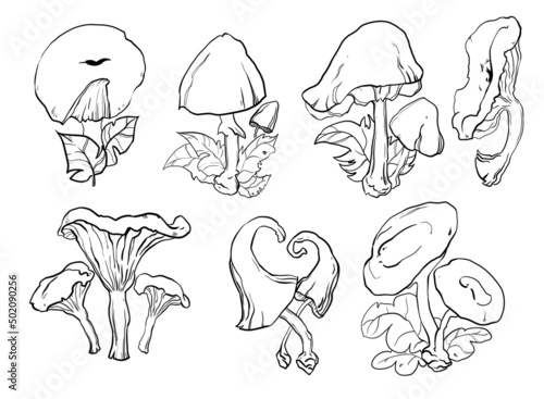 mushroom set. linear art. antistress coloring book, coloring book for children. tattoo