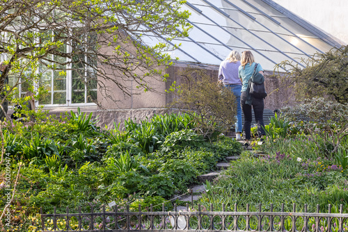 Canvas Print couple in a greenhouse,   Botanical Garden, Oslo, Norway