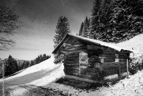 Blockhütte im Schnee