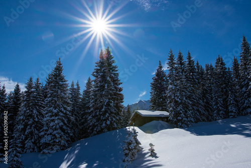 sonniger Wintertag mit viel Schnee