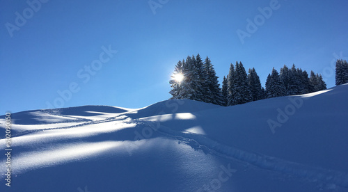 sonniger Wintertag mit viel Schnee