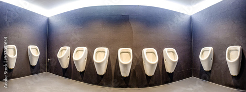 Fotografie, Obraz typical urinals at a public restroom