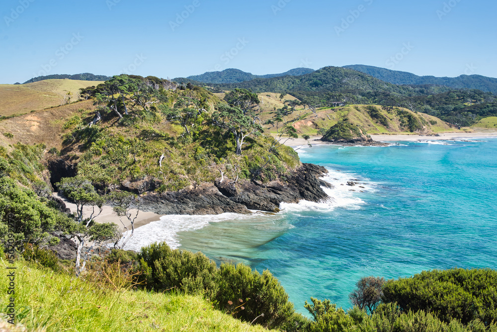 Looking into a bay of the Bay of Island in New Zealand with turquoise clear water on a sunny day without any clouds
