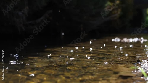 water flows a small river photo