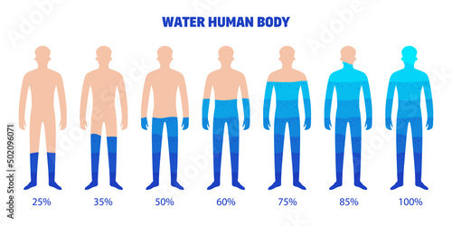 Human Body Water Set