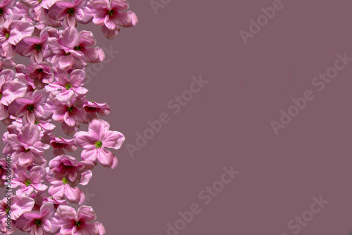 Purple Flowers Side Frame Floral Creative Collage Text Space
