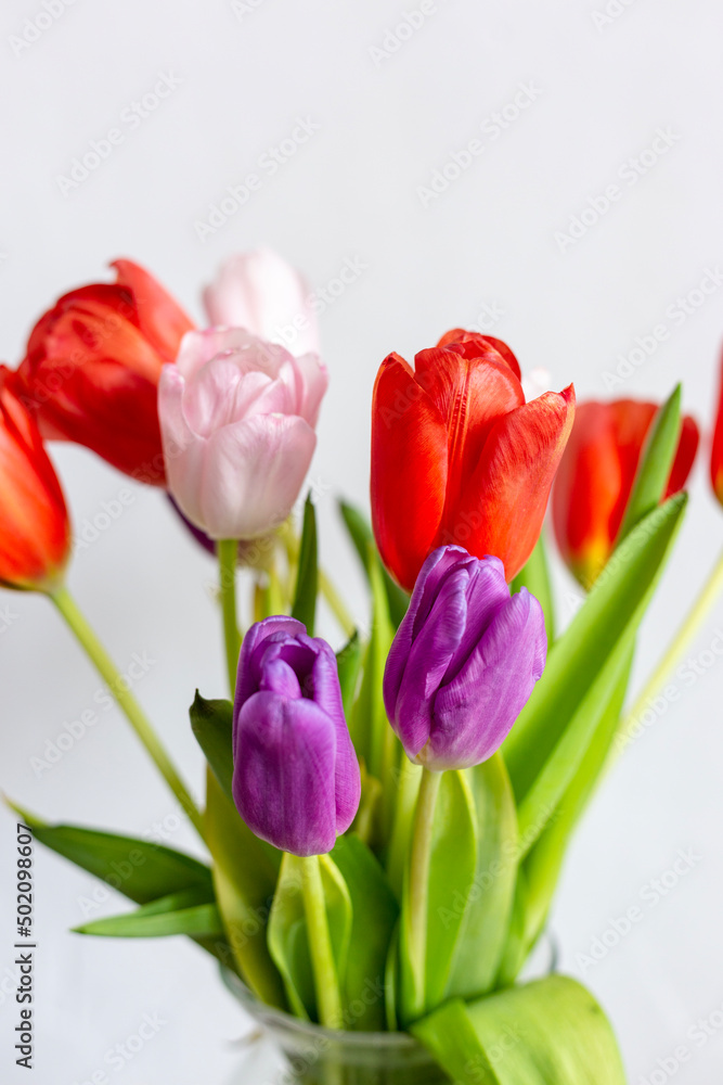 Beautiful spring bouquet on a white background