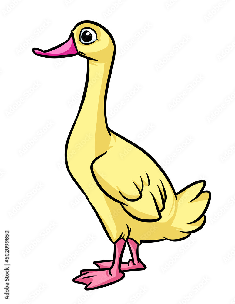goose bird character cartoon illustration goose bird character cartoon illustration