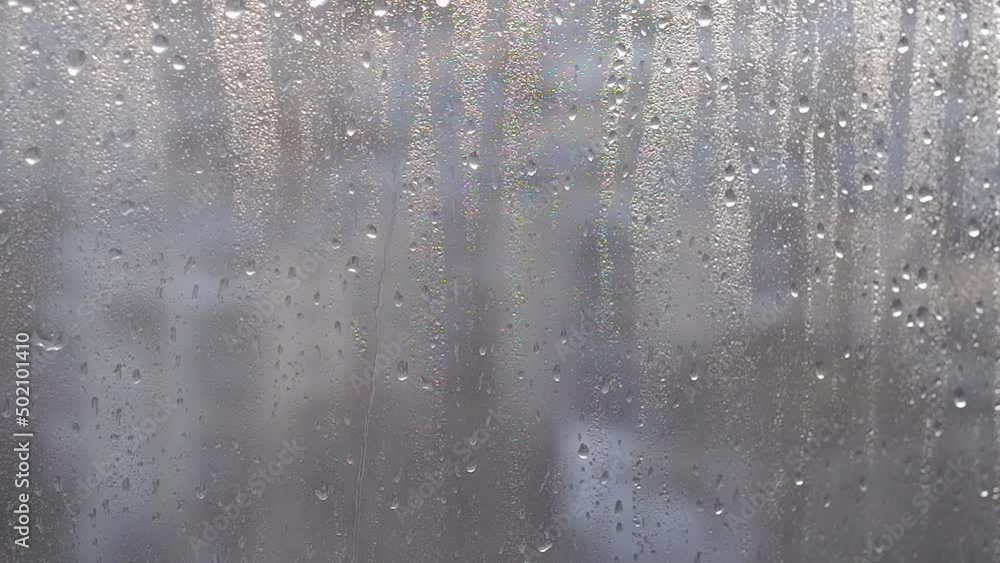 custom made wallpaper toronto digitalRain Drops Falling down on window. Sky Drops, Close up Slow Rain,color