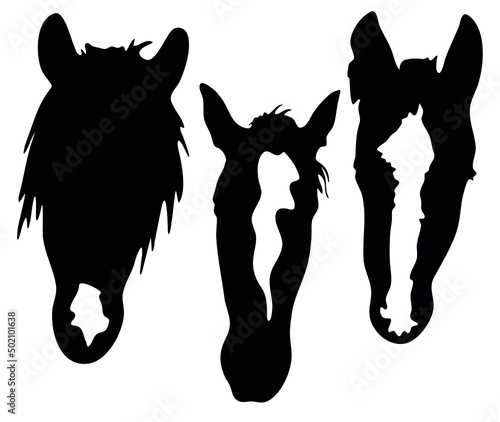 Vector illustration set ready to print: Horse Facial Markings, black and white head spots, stars, snipe, stripe, bald face marking collection