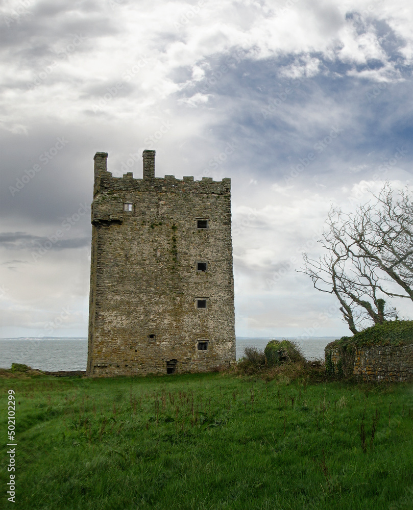 Carrigaholt Castle Ruins, Western Ireland