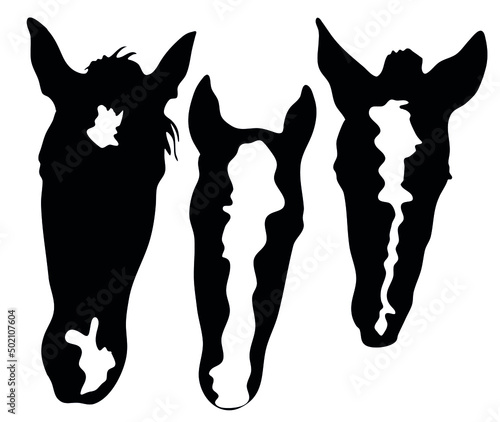 Vector illustration set ready to print: Horse Facial Markings, black and white head spots, stars, snipe, stripe, bald face marking collection