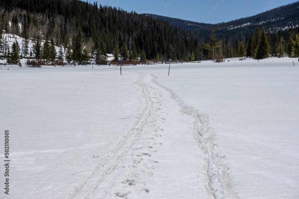 custom made wallpaper toronto digitalcross country and snowshoe tracks mark the fresh snow at State Forest State Park in the Rocky Mountains of Colorado