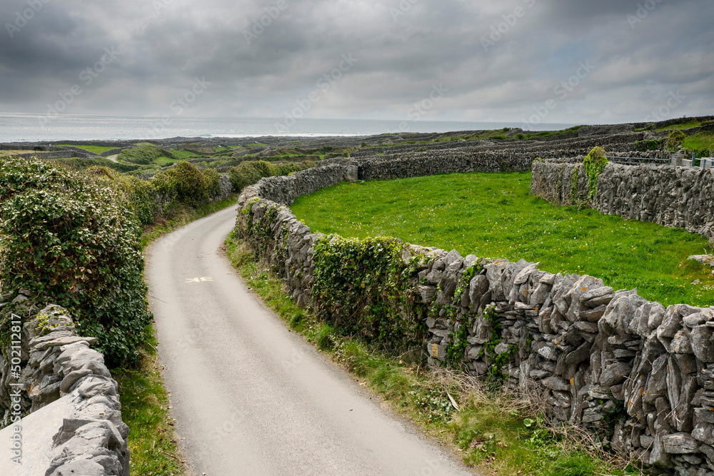 Maze of stone walls and small narrow road on Inisheer, Aran island, county Galway, Ireland. Popular travel area. Warm sunny day. Irish nature landscape. Vertical image
