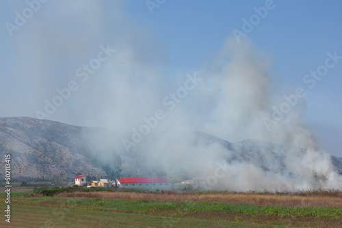 Smoke from a burning farm field . Fire at agricultural field 