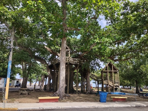 Parque Colon Treehouse in Aguadilla Puerto Rico