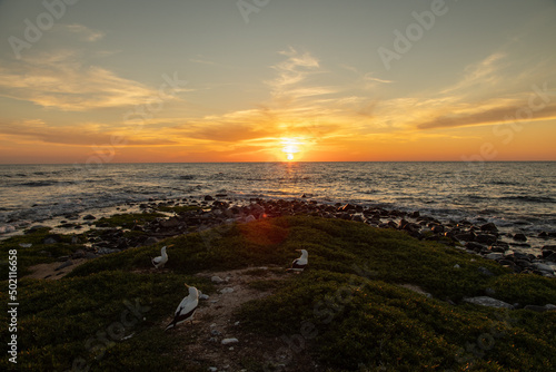 Sunset in the Abrolhos archipelago in Bahia, Brazil photo