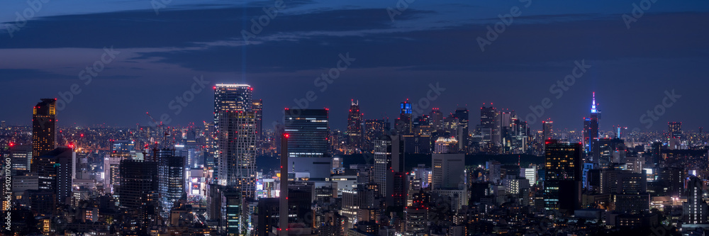Tokyo Shinjyuku and Shibuya area panoramic view at night.