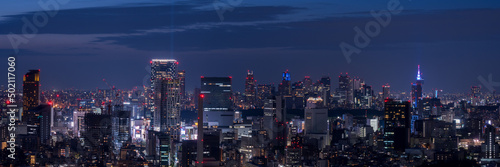 Canvastavla Tokyo Shinjyuku and Shibuya area panoramic view at night.