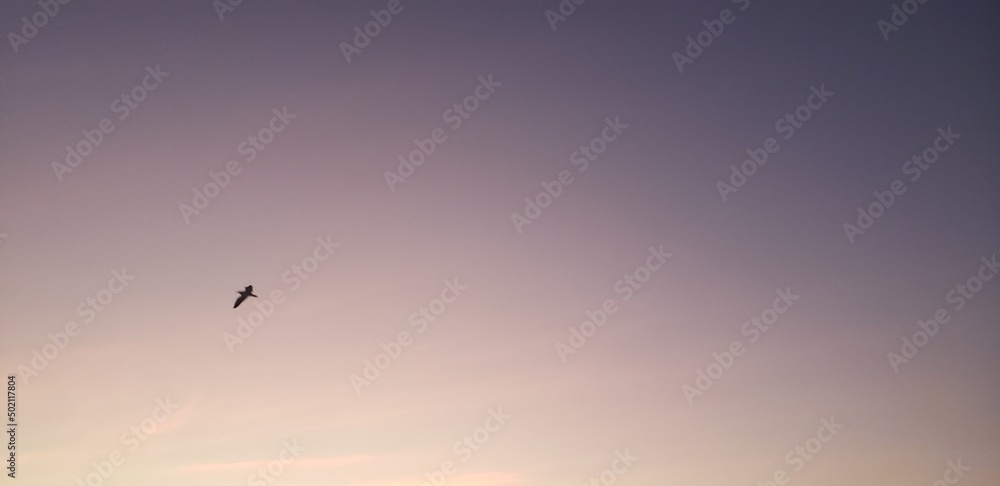 Fototapeta premium sand sun sunset cloud landscape sea