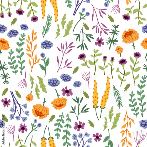 Vector seamless pattern with hand drawn wild plants, herbs and flowers, colorful botanical illustration, floral elements, hand drawn repeating background. Wild meadow herbs, flowering flowers