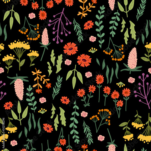 Vector seamless pattern with hand drawn wild plants, herbs and flowers, colorful botanical illustration, floral elements, hand drawn repeating background. Wild meadow herbs, flowering flowers