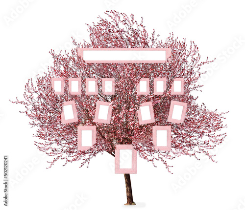 Fotografie, Tablou Beautiful blossoming tree on white background