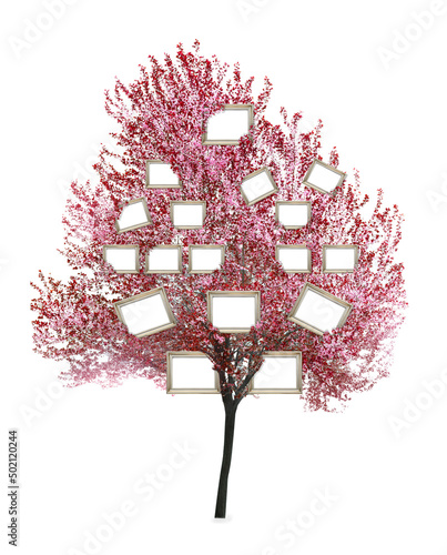 Tablou canvas Beautiful blossoming tree on white background