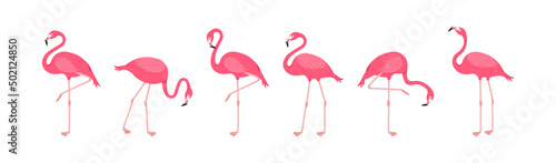 Flamingo vector icon, cartoon pink tropical bird, summer animal set, cute zoo character isolated on white background. Exotic fauna illustration