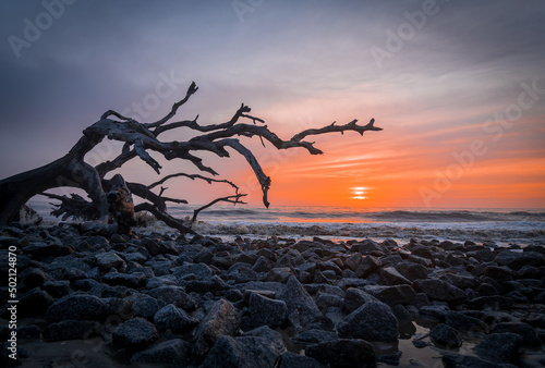 Sunrise on Driftwood Beach