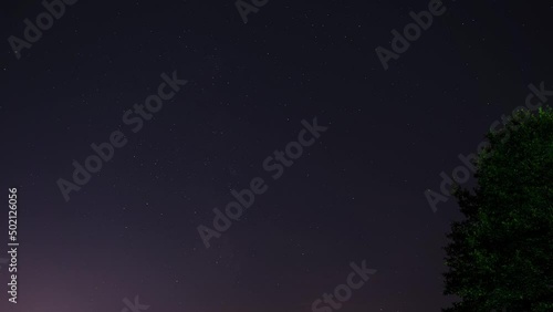Wallpaper Mural night sky with stars timelapse with tree Torontodigital.ca
