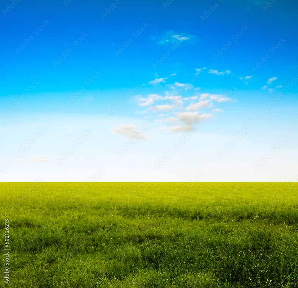 Obraz premium beautiful summer fields