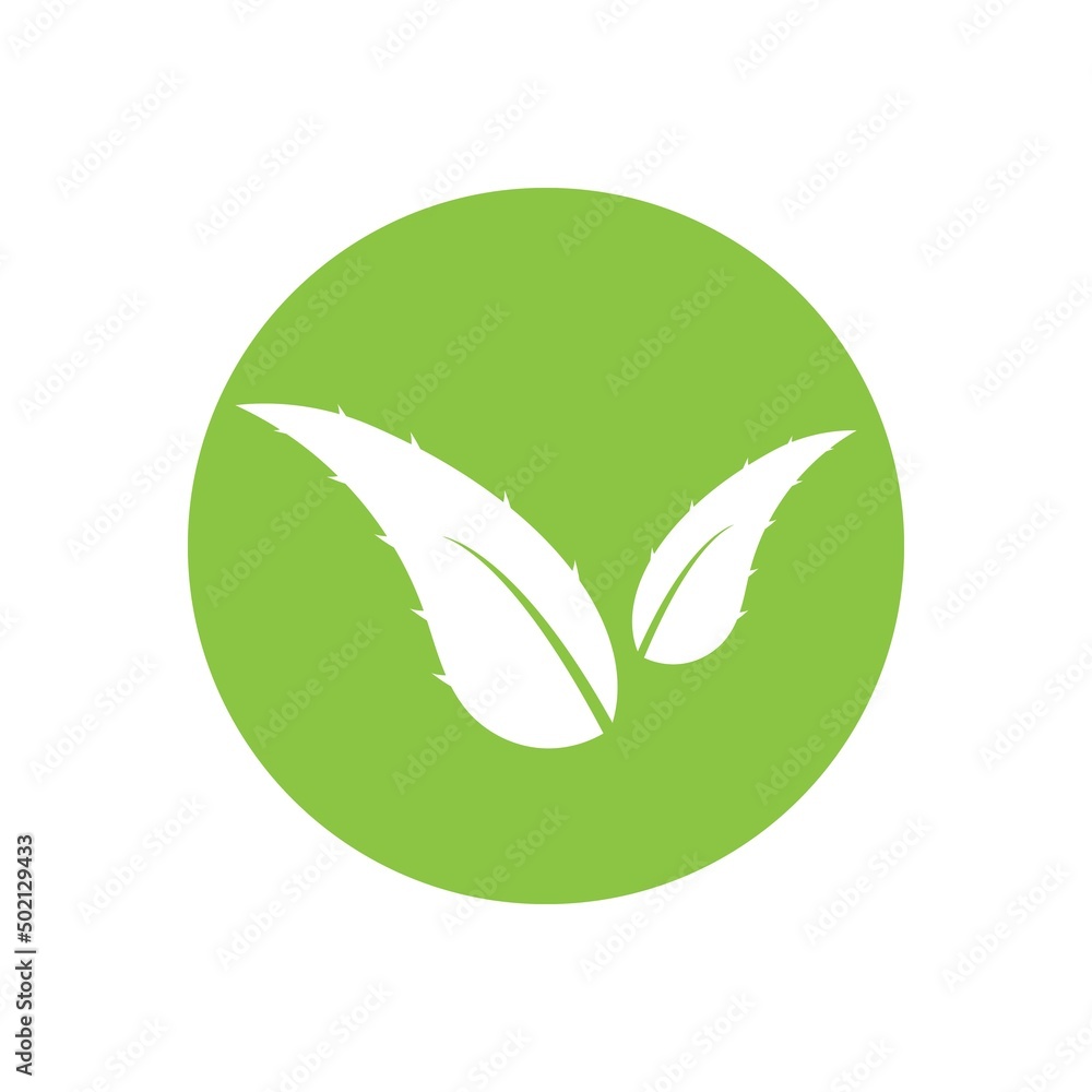 aloe vera logo design icon vector aloe vera logo design icon vector