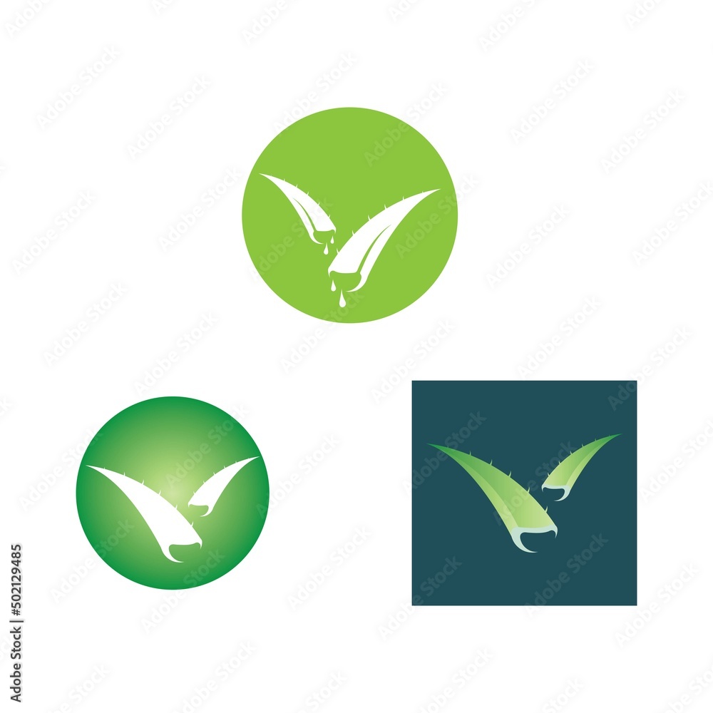 Obraz premium aloe vera logo design icon vector