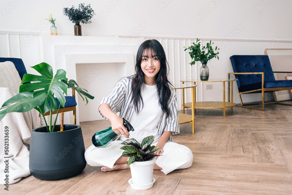 A young Asian woman takes care of plants by spraying water the large house plant Monstera Deliciosa with care. Monstera lover at home. The concept of eco living and plant care lifestyle. A young Asian woman takes care of plants by spraying water the large house plant Monstera Deliciosa with care. Monstera lover at home. The concept of eco living and plant care lifestyle.