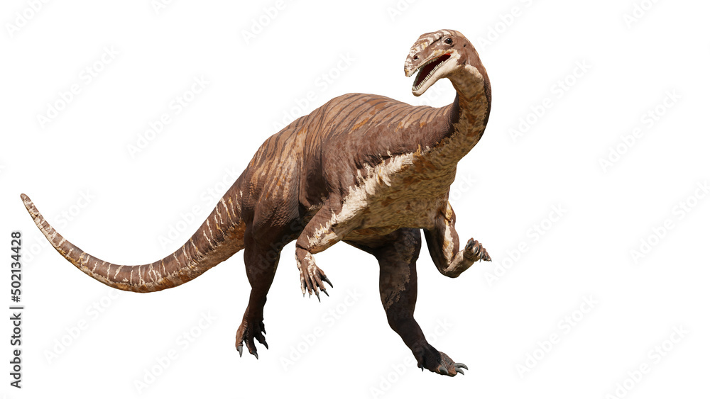 Plateosaurus, dinosaur from 214 to 204 million years ago, isolated on white background Plateosaurus, dinosaur from 214 to 204 million years ago, isolated on white background