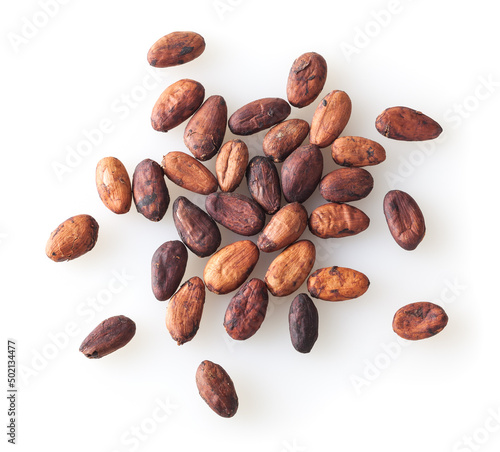 Obraz na płótnie Heap of uncooked cocoa beans isolated on white background w salonie