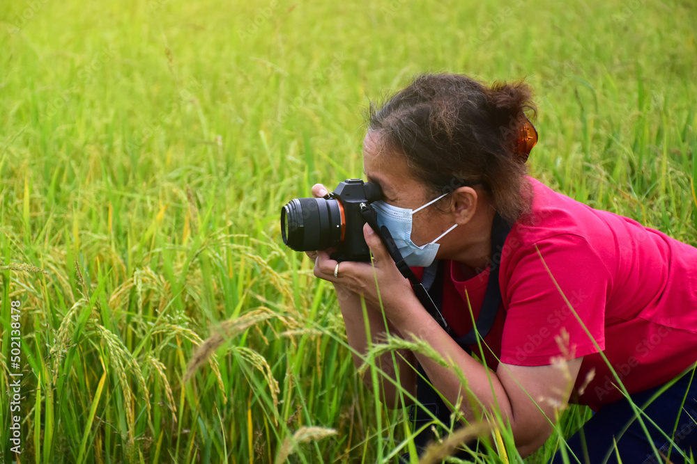An asian senior woman wears jeans, red t-shirt, mask and holds digital camera to shot the ears of rice in the green rice paddy field happily. happy life after early retire concept.