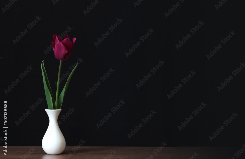Lilac tulip flower in a vase. Lilac tulip flower in a vase.