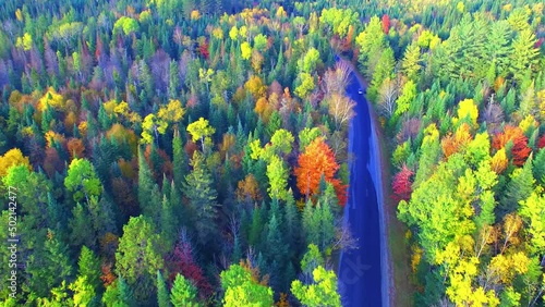 Amazing aerial view of New England woods in foliage season, October from drone photo