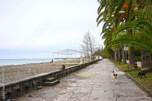 Cityscape with a promenade in Gagra. Abkhazia photo