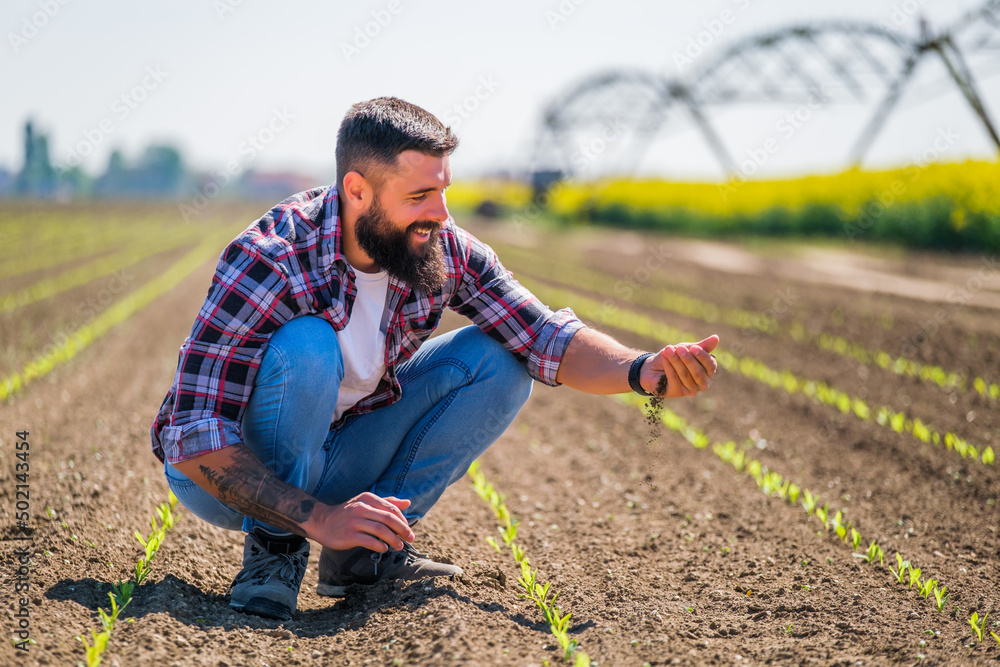 Fototapeta premium Happy farmer is examining the progress of crops in his corn field. He is satisfied with quality of his land.
