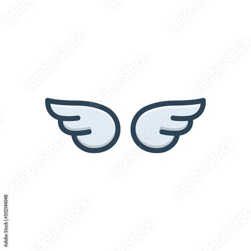 Color illustration icon for wings