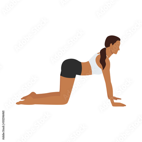 Woman doing Cow pose Bitilasana exercise. Flat vector illustration isolated on white background