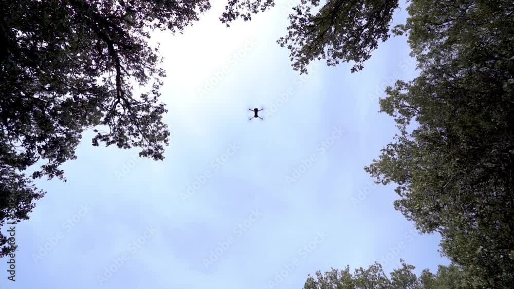 Drone going down to the ground and passing between the branches of the trees.