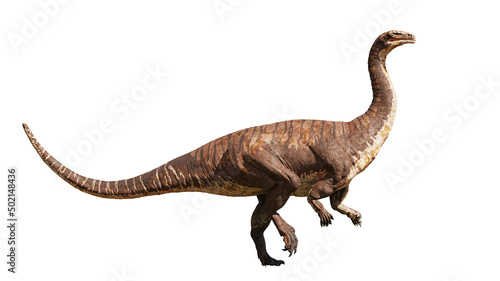 Plateosaurus  dinosaur from the Late Triassic period  isolated on white background
