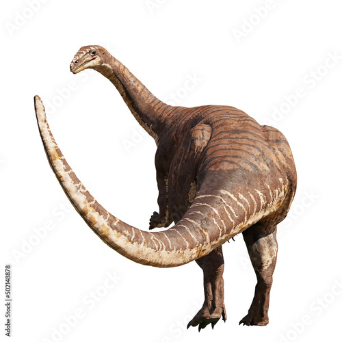 Plateosaurus, dinosaur from the Late Triassic epoch, isolated on white background  photo