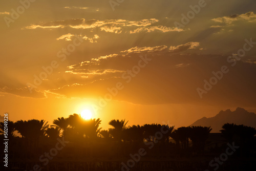 Golden tropical sunset over silhouette of palm trees and mountains. Sun's rays break through clouds. Magnificent landscape, beauty in nature. Copy space for text..